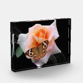 Rose und Schmetterling Fotoblock (Links)