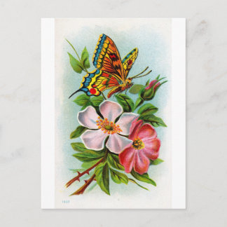Rose und Schmetterling Postkarte