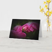 Rose und Seile, Karte (Gelbe Blume)