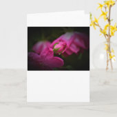 Rose und Seile, Karte (Gelbe Blume)