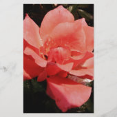 Rose und Tauchen Briefpapier (Vorderseite)