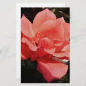 Rose und Tauchen Briefpapier (Vorne/Hinten)