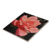 Rose und Tauchen Fliese (Seite)