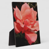 Rose und Tauchen Fotoplatte (Seite)