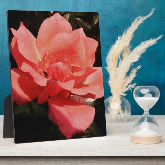 Rose und Tauchen Fotoplatte (Seite)