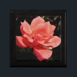 Rose und Tauchen Geschenkbox<br><div class="desc">Pink pfirsichfarbene Gartengarten-Rose, perfekt für eine Hochzeit, Verlobung Geburtstag oder Senden Sie eine Nachricht an sandycloss@gmail.com wenn Sie möchten, dass eines dieser Designs auf einem Produkt nicht angezeigt. Gerne fertige ich Ihnen ein maßgeschneidertes Produkt. Um nach einem bestimmten Produkt zu suchen, geben Sie einfach die Wörter in das Suchfeld auf...</div>