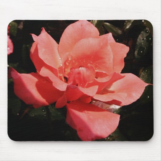 Rose und Tauchen Mousepad (Vorne)