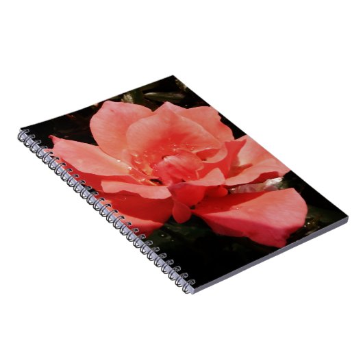 Rose und Tauchen Notizblock (Rechte Seite)