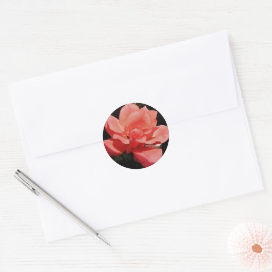 Rose und Tauchen Runder Aufkleber (Umschlag)