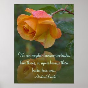 Rose und Thorns Inspiration Poster