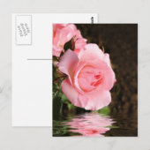 Rose und Wasser Postkarte (Vorne/Hinten)