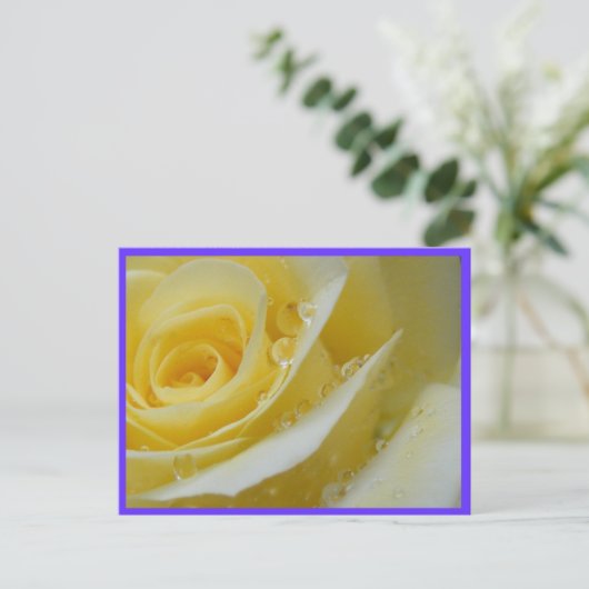 Rose und Wassertropfen Postkarte (Stehend Vorderseite)