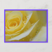 Rose und Wassertropfen Postkarte (Vorderseite)