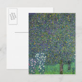 Rose unter den Bäumen, c.1905 Postkarte (Vorne/Hinten)