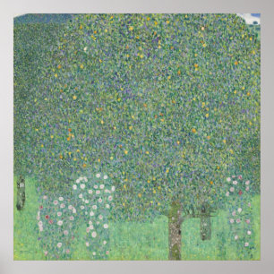 Rose unter den Bäumen — Gustav Klimt (1905) Poster