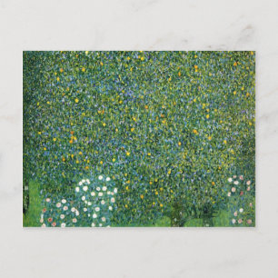 Rose unter den Niedlichen Bäumen Postkarte