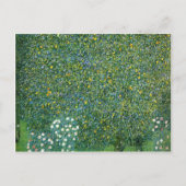 Rose unter den Niedlichen Bäumen Postkarte (Vorderseite)