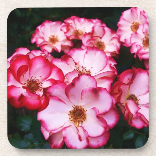 Rose Untersetzer (Vorderseite)
