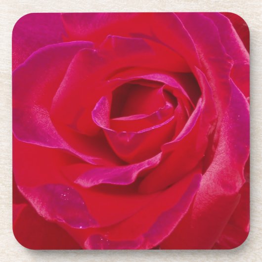 Rose Untersetzer (Vorderseite)