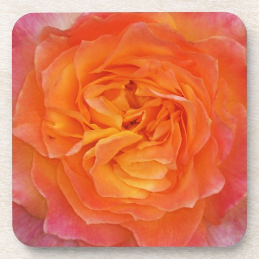 Rose Untersetzer (Vorderseite)