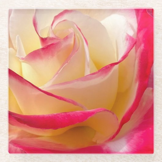 Rose Untersetzer (Vorderseite)