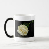 Rose Verwandlungstasse (Links)