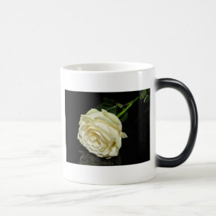 Rose Verwandlungstasse