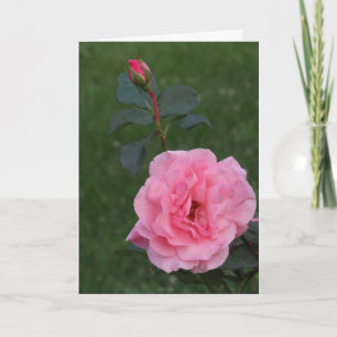 Rose, vielen Dank für das Geschenk und den Besuch Dankeskarte