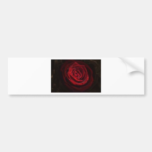 Rose Vines Heart Pattern Flower Peace Love Destiny Autoaufkleber (Vorne)