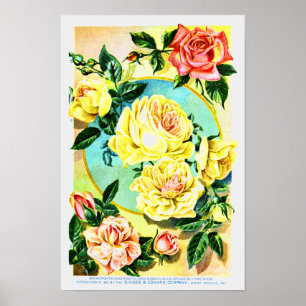 Rose Vintage Blume Saatgut Unternehmen Poster