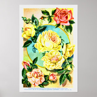 Rose Vintage Blume Saatgut Unternehmen Poster