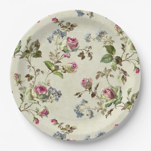 Rose Vintage Pappteller (Vorderseite)