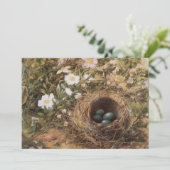 Rose von Bird's Nest and Dog von John William Hill (Stehend Vorderseite)