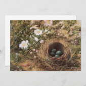 Rose von Bird's Nest and Dog von John William Hill (Vorne/Hinten)