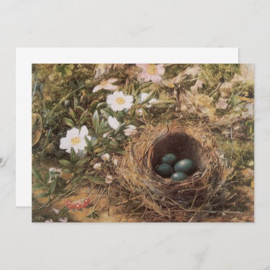 Rose von Bird's Nest and Dog von John William Hill (Vorne/Hinten)