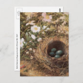 Rose von Bird's Nest and Dog von John William Hill Postkarte (Vorne/Hinten)