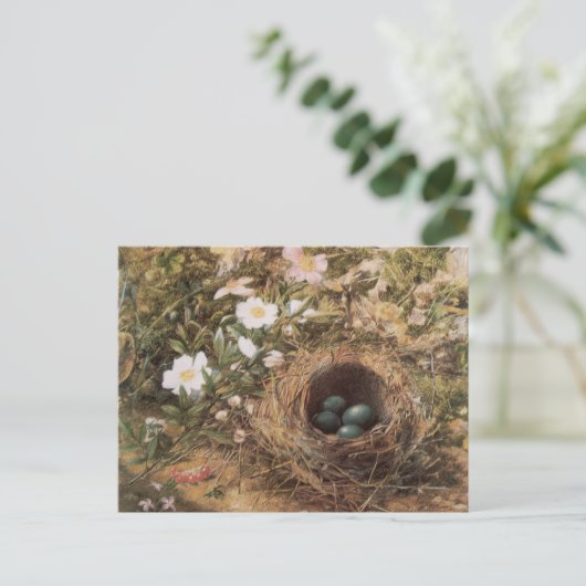Rose von Bird's Nest and Dog von John William Hill Postkarte (Stehend Vorderseite)