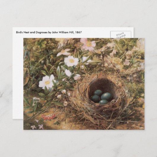 Rose von Bird's Nest and Dog von John William Hill Postkarte (Vorne/Hinten)