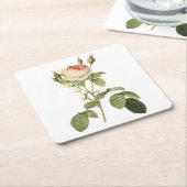 Rose von Doppelmoos durch Redouté Rechteckiger Pappuntersetzer (angewinkelt)