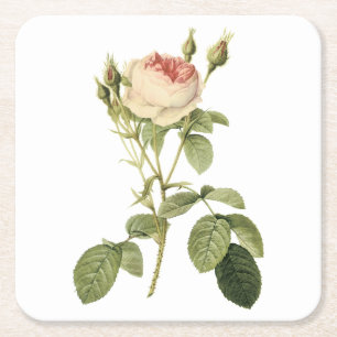 Rose von Doppelmoos durch Redouté Rechteckiger Pappuntersetzer