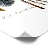 Rose von Redoute Poster (Ecke)