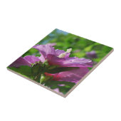 Rose von Sharon-Blumen Fliese (Seite)