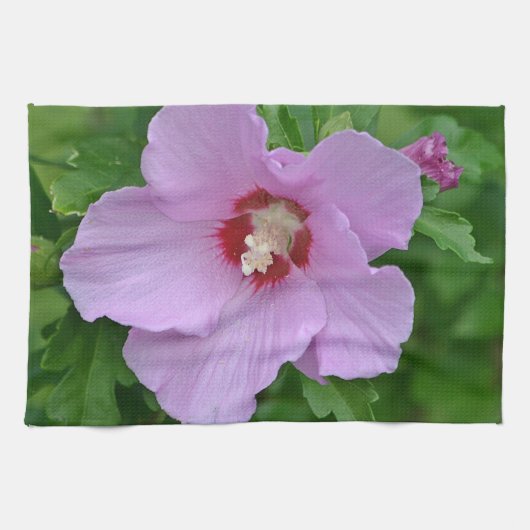 Rose von Sharon Dish Handtuch (Horizontal)