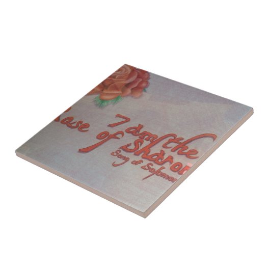 Rose von Sharon Fliese (Seite)