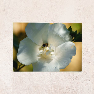 Rose von Sharon Grußkarte leer Feiertagskarte