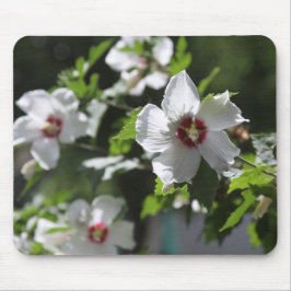 Rose von Sharon Mouse Pad Mousepad