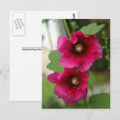 Rose von Sharon Postcard Postkarte (Vorne/Hinten)