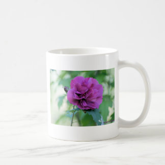 Rose von Sharon-Tasse Kaffeetasse