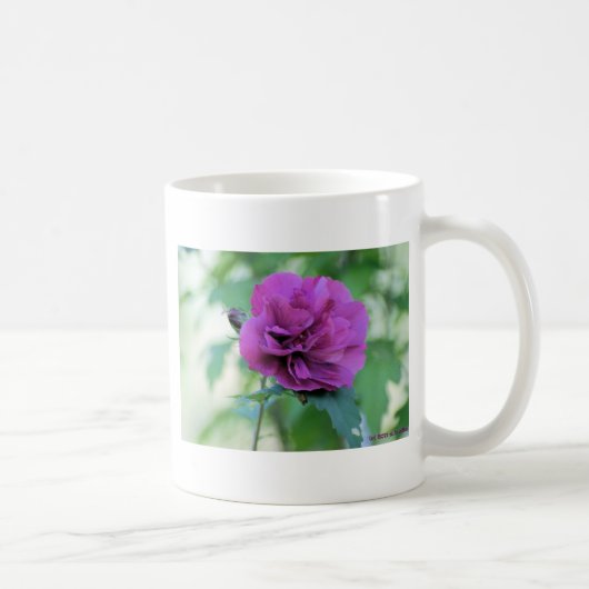 Rose von Sharon-Tasse Kaffeetasse (Rechts)