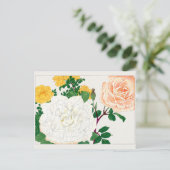 Rose von Tanigami Konan Postkarte (Stehend Vorderseite)